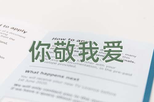 成语你敬我爱