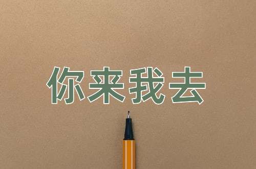 成语你来我去