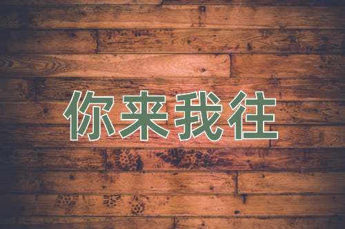 成语你来我往