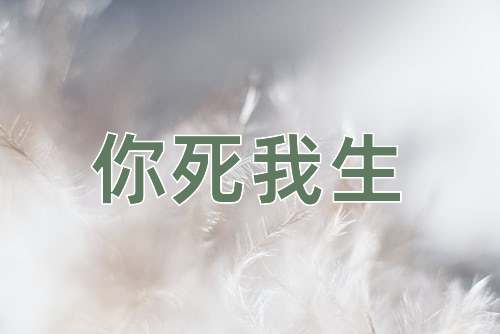 成语你死我生