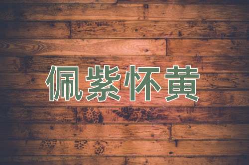 成语佩紫怀黄