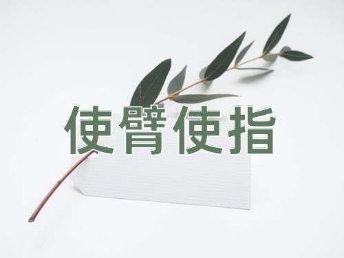 成语使臂使指