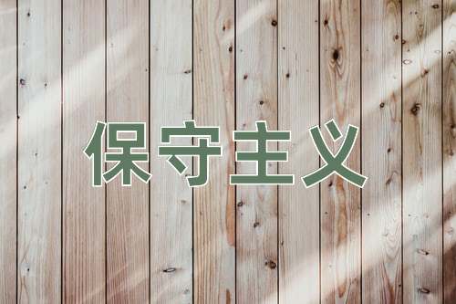 成语保守主义