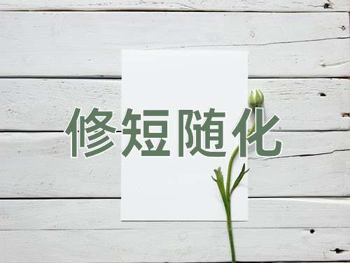 成语修短随化