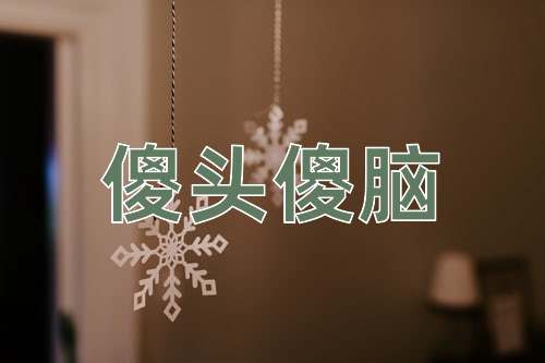 成语傻头傻脑