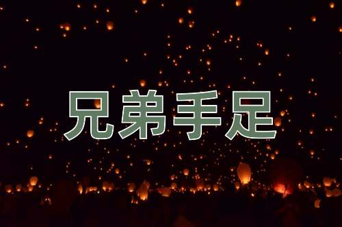成语兄弟手足