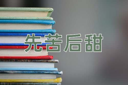 成语先苦后甜