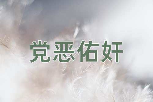 成语党恶佑奸