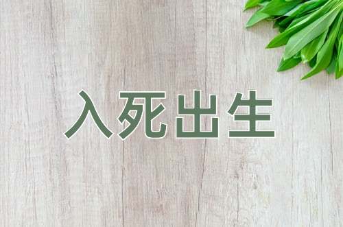 成语入死出生