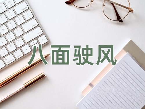 成语八面驶风