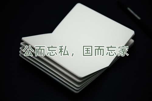 成语公而忘私，国而忘家