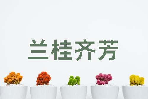 成语兰桂齐芳