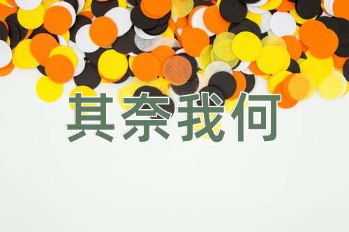 成语其奈我何