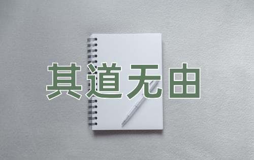 成语其道无由