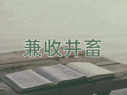 成语兼收并畜