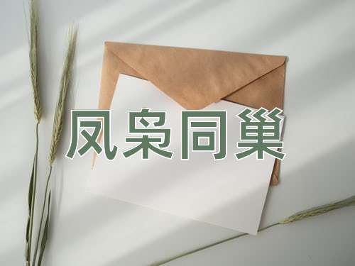 成语凤枭同巢
