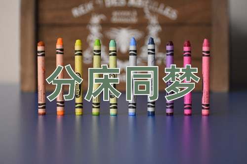 成语分床同梦