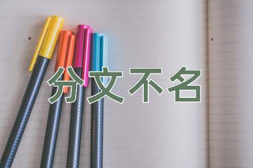 成语分文不名