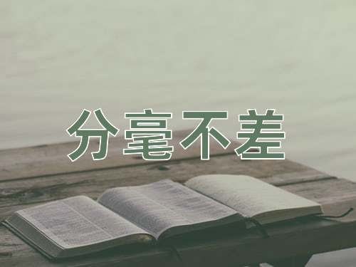 成语分毫不差