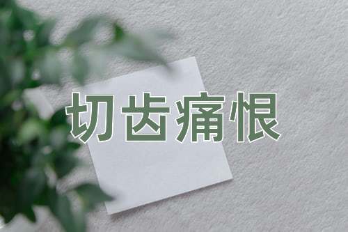 成语切齿痛恨