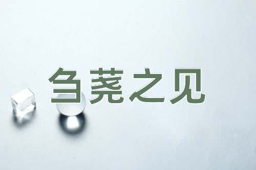 成语刍荛之见