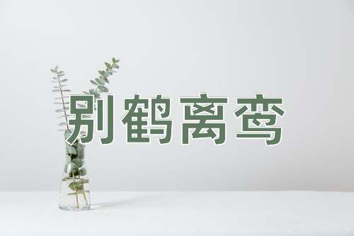 成语别鹤离鸾