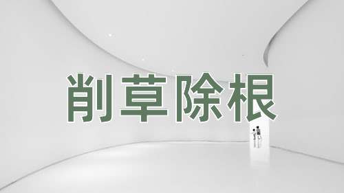 成语削草除根