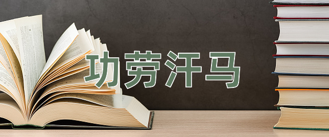 成语功劳汗马