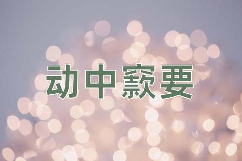 成语动中窾要