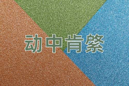 成语动中肯綮