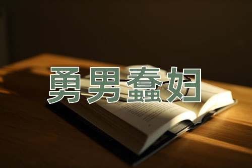 成语勇男蠢妇
