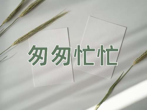 成语匆匆忙忙