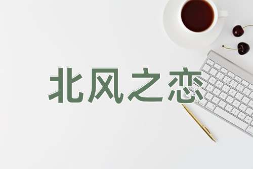 成语北风之恋