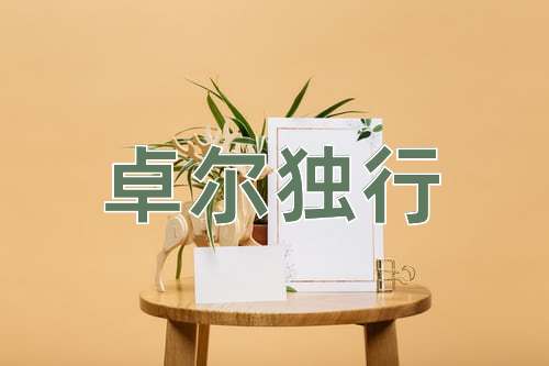 成语卓尔独行