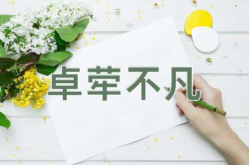 成语卓荦不凡
