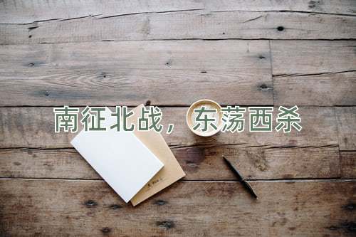 成语南征北战，东荡西杀