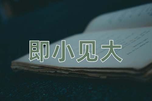成语即小见大