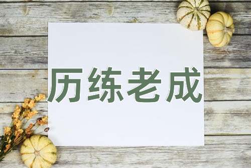 成语历练老成