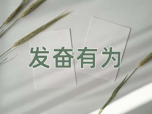 成语发奋有为