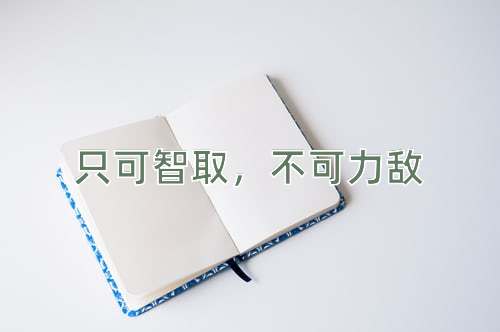 成语只可智取，不可力敌