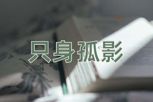 成语只身孤影