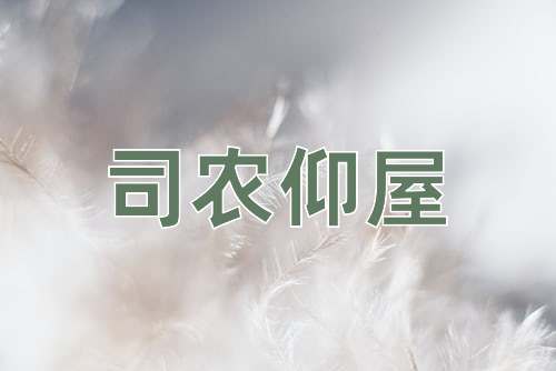 成语司农仰屋