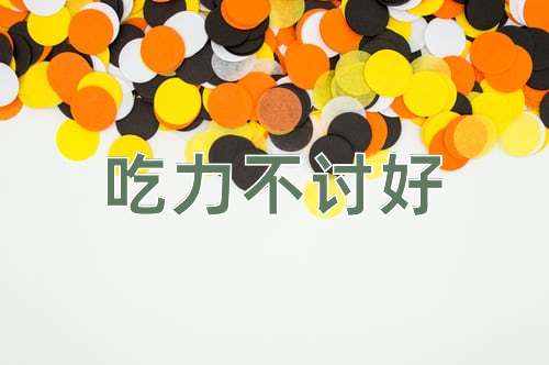 成语吃力不讨好