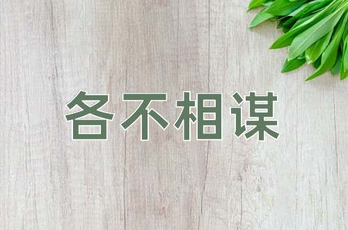 成语各不相谋