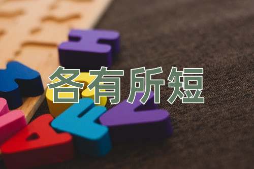 成语各有所短