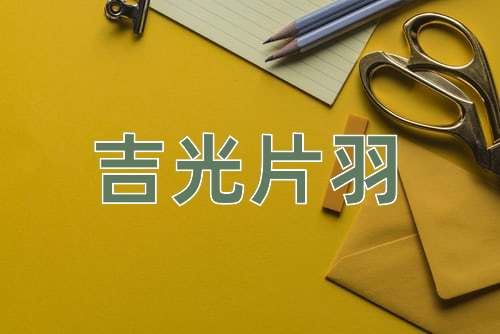 成语吉光片羽