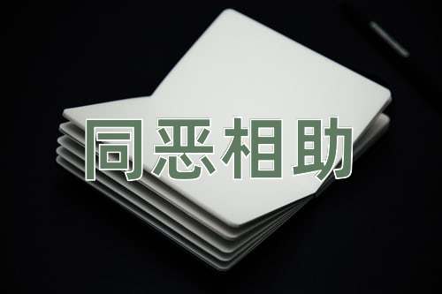 成语同恶相助