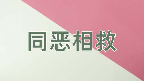 成语同恶相救