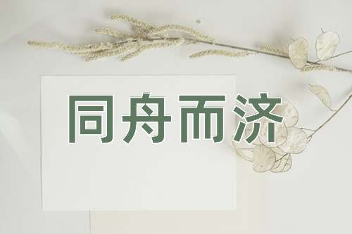 成语同舟而济