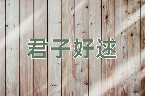 成语君子好逑